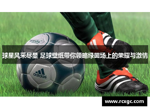 球星风采尽显 足球壁纸带你领略绿茵场上的荣耀与激情
