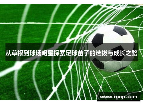 从草根到球场明星探索足球苗子的选拔与成长之路