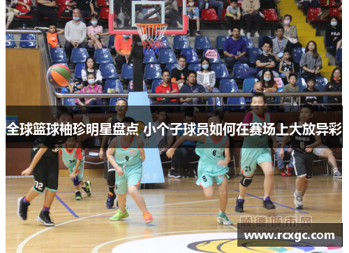 全球篮球袖珍明星盘点 小个子球员如何在赛场上大放异彩